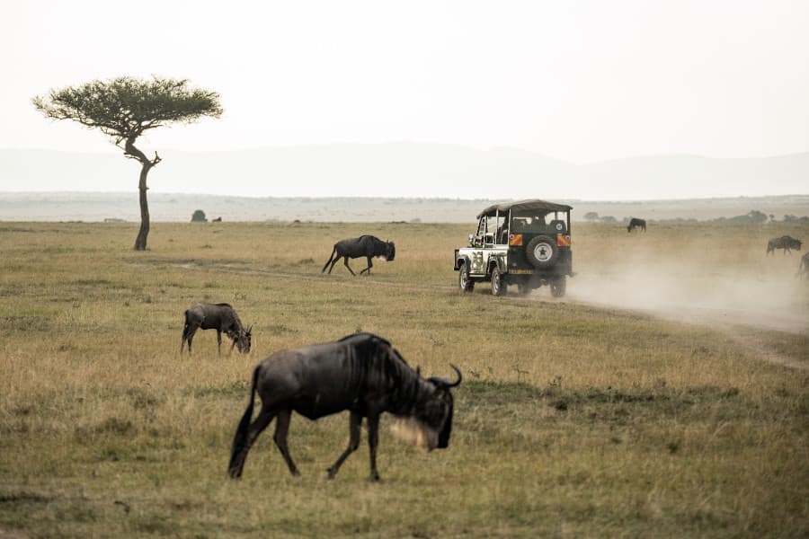 Mount Kilimanjaro Climb