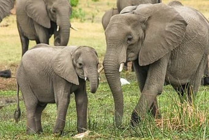 Uganda Grand Circuit — photo 4